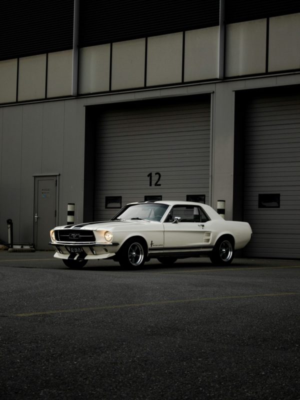 jorgen-hendriksen-lX2YG5w4_gs-unsplash